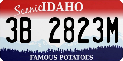 ID license plate 3B2823M