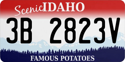 ID license plate 3B2823V