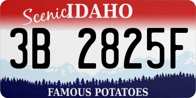 ID license plate 3B2825F