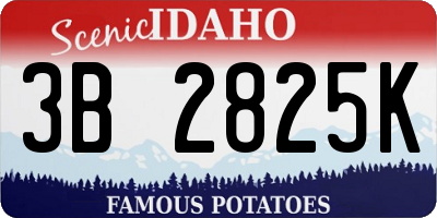 ID license plate 3B2825K