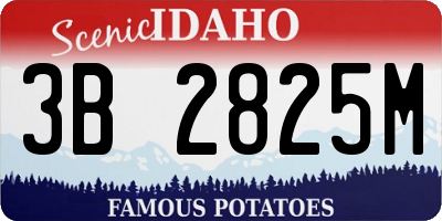 ID license plate 3B2825M