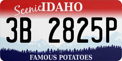 ID license plate 3B2825P