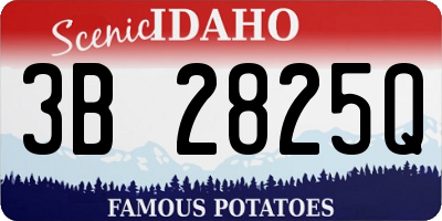 ID license plate 3B2825Q