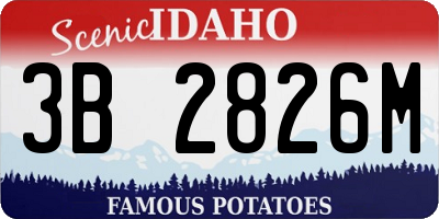 ID license plate 3B2826M