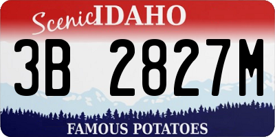ID license plate 3B2827M