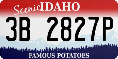 ID license plate 3B2827P