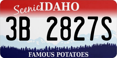 ID license plate 3B2827S