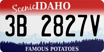 ID license plate 3B2827V