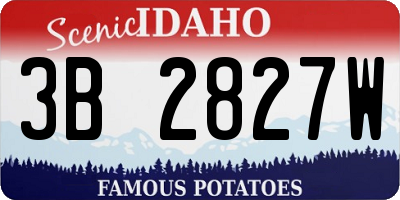 ID license plate 3B2827W