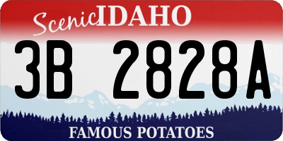 ID license plate 3B2828A