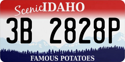 ID license plate 3B2828P