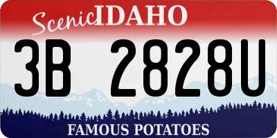 ID license plate 3B2828U