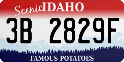 ID license plate 3B2829F