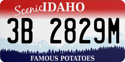 ID license plate 3B2829M