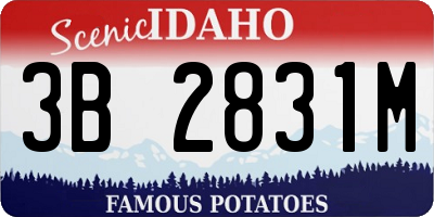 ID license plate 3B2831M
