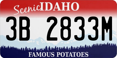 ID license plate 3B2833M