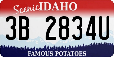 ID license plate 3B2834U