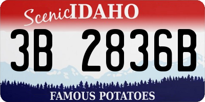ID license plate 3B2836B