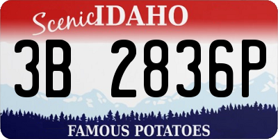 ID license plate 3B2836P