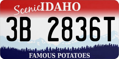 ID license plate 3B2836T