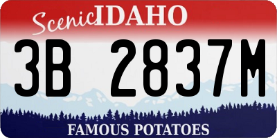 ID license plate 3B2837M
