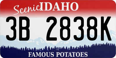 ID license plate 3B2838K
