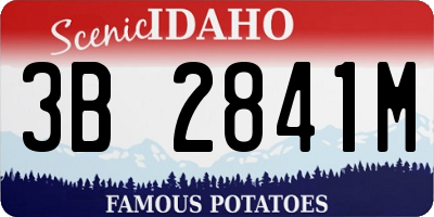 ID license plate 3B2841M