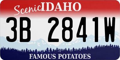 ID license plate 3B2841W