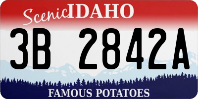 ID license plate 3B2842A