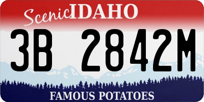 ID license plate 3B2842M