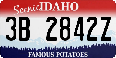 ID license plate 3B2842Z