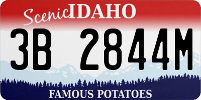 ID license plate 3B2844M