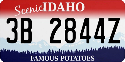 ID license plate 3B2844Z