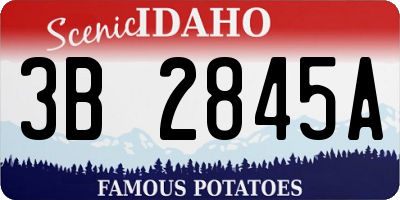 ID license plate 3B2845A
