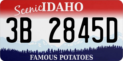 ID license plate 3B2845D