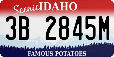 ID license plate 3B2845M