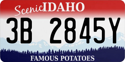 ID license plate 3B2845Y