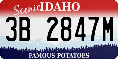 ID license plate 3B2847M