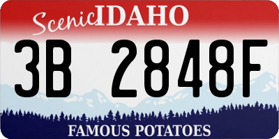 ID license plate 3B2848F
