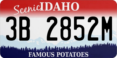ID license plate 3B2852M