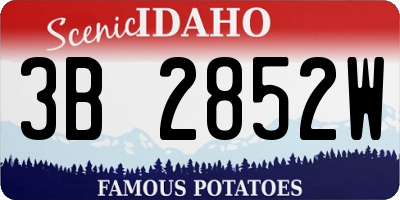 ID license plate 3B2852W