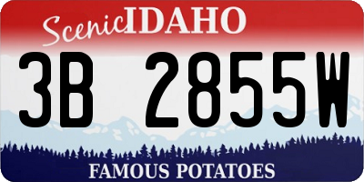 ID license plate 3B2855W