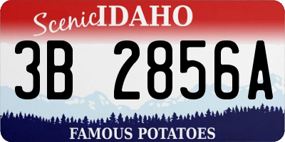 ID license plate 3B2856A