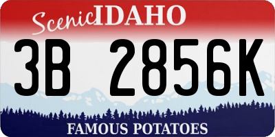 ID license plate 3B2856K