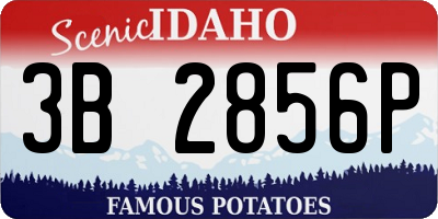ID license plate 3B2856P