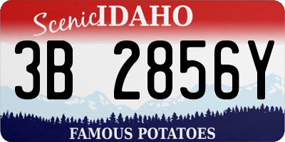 ID license plate 3B2856Y