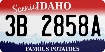 ID license plate 3B2858A