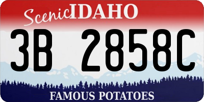 ID license plate 3B2858C