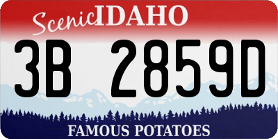 ID license plate 3B2859D