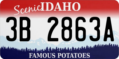 ID license plate 3B2863A